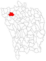 Location in Vaslui County