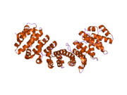 1y2a: Structure of mammalian importin bound to the non-classical PLSCR1-NLS