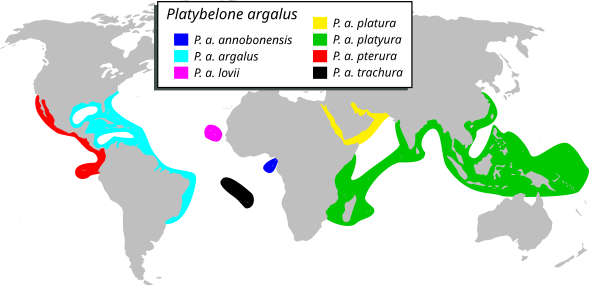 P. argalus range map, with each major subspecies highlighted
