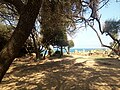 Ruines Romaines Tipaza.