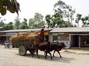 Image illustrative de l’article Économie du Népal