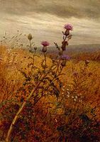 Thistle in a Field, 1875