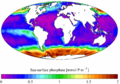 WOA sea surface phosphate