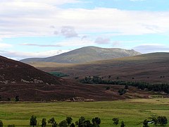 Beinn a' Bhùird from Linn of Dee road