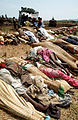 Image 15Bodies of Rwandan refugees who died during the cholera epidemic, October 1994 (from History of cholera)