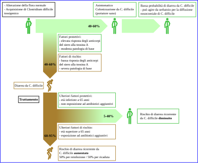 Evoluzione dell'infezione da Clostridioides difficile