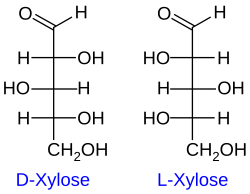 Image illustrative de l’article Xylose