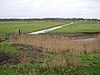 Cantley Marshes