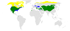 Mapa występowania