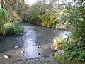 Zusammenfluss der beiden Breitstrom-Arme hinter einer Insel