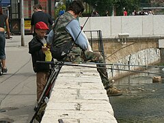 Fishing on Miljacka river