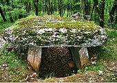 Dolmen de Marcigaliet no 1