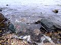 This beach is called the Wakering Stairs and belongs to the Ministry of Defence and can be accessed at their discretion. It is full of rocks and military debris.