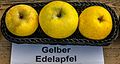 Gelber Edelapfel