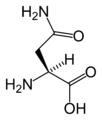 L-أسباراجين (Asn / N)