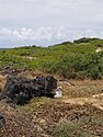 At Kaʻena Point State Park, Hawaii