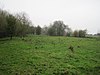 Lockington Marshes