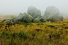 Grandes rocas sobresaliendo de la arena costera