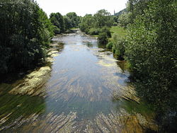 La Meuse à Domrémy