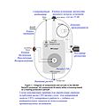 Миниатюра для версии от 12:07, 23 апреля 2016