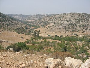 Wadi Qana