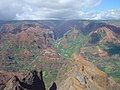 Image 15Waimea Canyon, Hawaii, is known for its montane vegetation. (from Montane ecosystems)