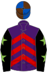 Purple, red chevrons, black sleeves, light green stars, royal blue and brown quartered cap