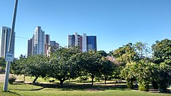 Parte do gramado e do bosque na área para piqueniques.