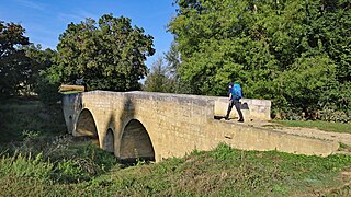 Le pont de Lartigue.