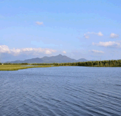 白坑湖