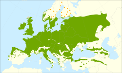 Distribución del Quercus robur