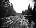 Rafting logs, c. 1918