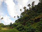 Southern Tafua Peninsula