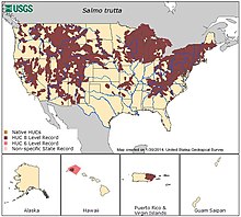 Map of U.S. ranges of brown trout