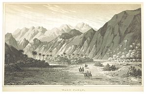 WEBSTER(1830) 2.210 Wadi Feiran