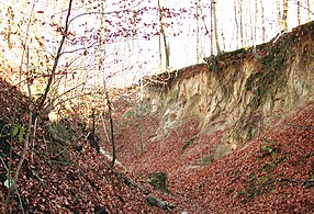 Hohlweg „Weiße Hohle“ an der K 4157