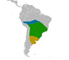 Distribuição de T. leucorrhoa      Área de residência      Visita para reprodução      Visita ao inverno