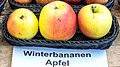 Winterbananenapfel