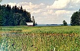 Österviken Bay in the Gulf of Finland, Pyhtää