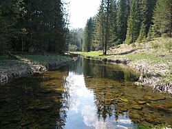 Кишертка в среднем течении