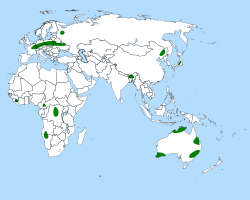 Distribución