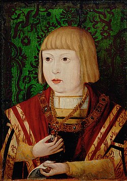 Ferdinand I, Holy Roman Emperor, aged ten or twelve