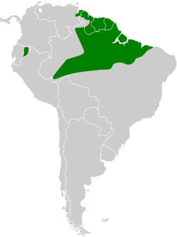 Distribución geográfica del mango picolezna.