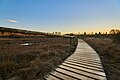 Boardwalk at sunset