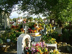 Old cemetery