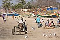 Image 1A donkey cart at a beach in The Gambia