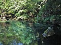 Étang Izuruhara Benten à Sano (Tochigi)