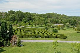 Labyrinthe végétal de cèdres noirs.