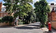 Bedford Park was by intention a pleasant leafy place to live. This view is on Bedford Road.