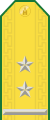 Parade uniform shoulder board (Lieutenant colonel)